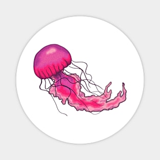 Pink Jelly Magnet